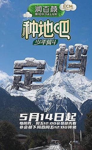 纸飞机王国海报