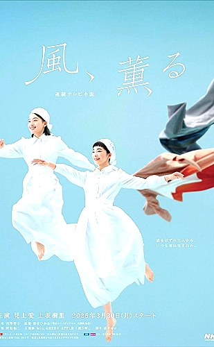 沿着海岸去旅行海报