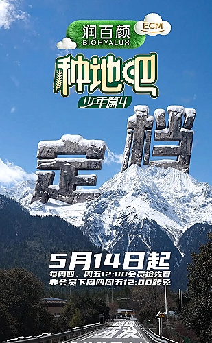 第七码头海报